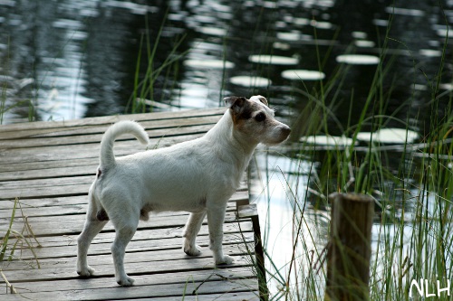 110827 eppu.jpg - Attitude, above all :)).
